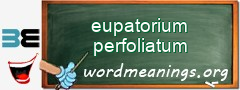 WordMeaning blackboard for eupatorium perfoliatum
